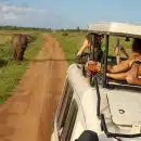 Les avantages de faire un safari au Kenya