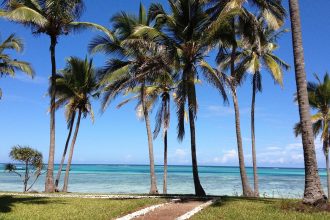 Conseils pour profiter pleinement de votre séjour à Zanzibar