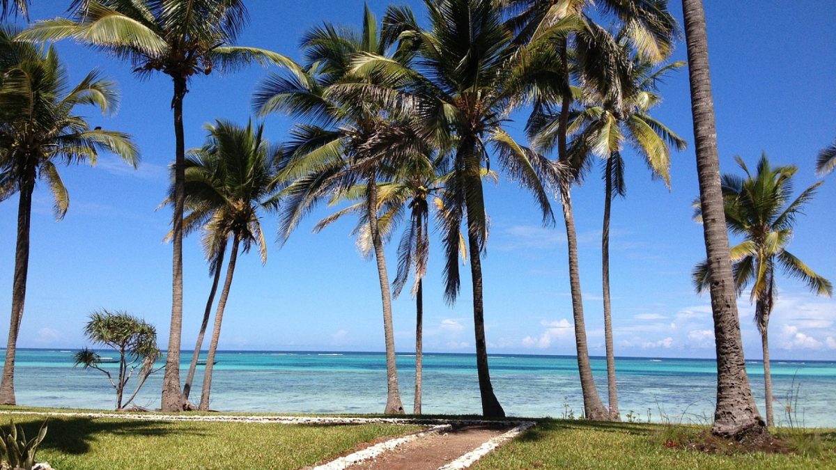 Conseils pour profiter pleinement de votre séjour à Zanzibar