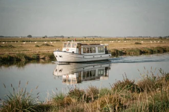 Croisière fluviale en Camargue avec flamants roses en arrière-plan sur les eaux calmes des marais